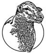 KHSI
